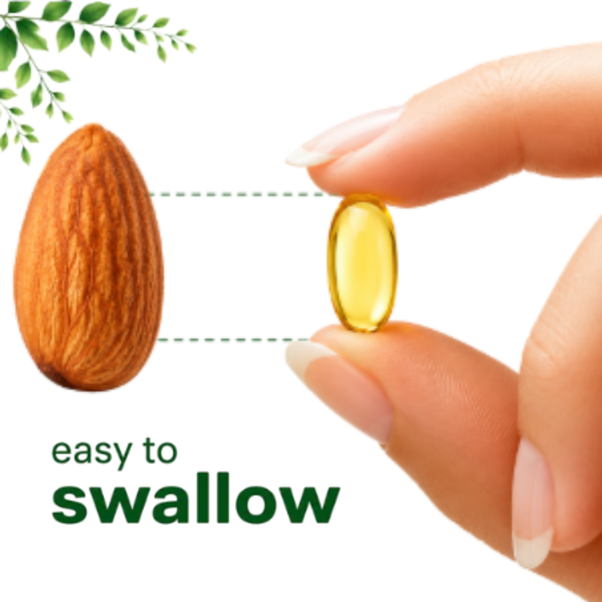 Oregano Oil Capsules